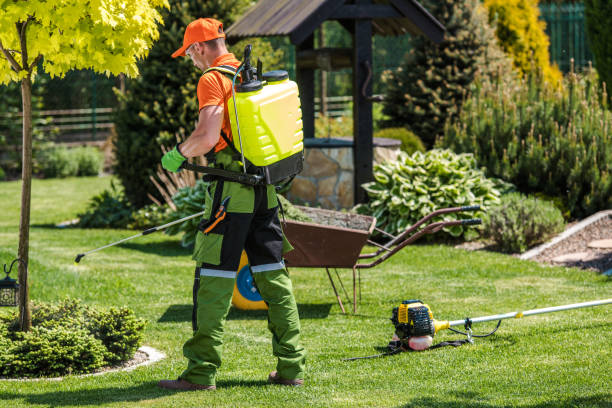 Best Mosquito Control  in Holland, MI